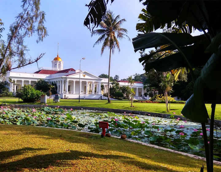 The Bogor botanical garden