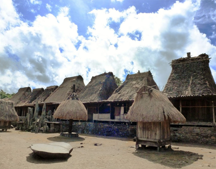 Ngadhu and Bagha