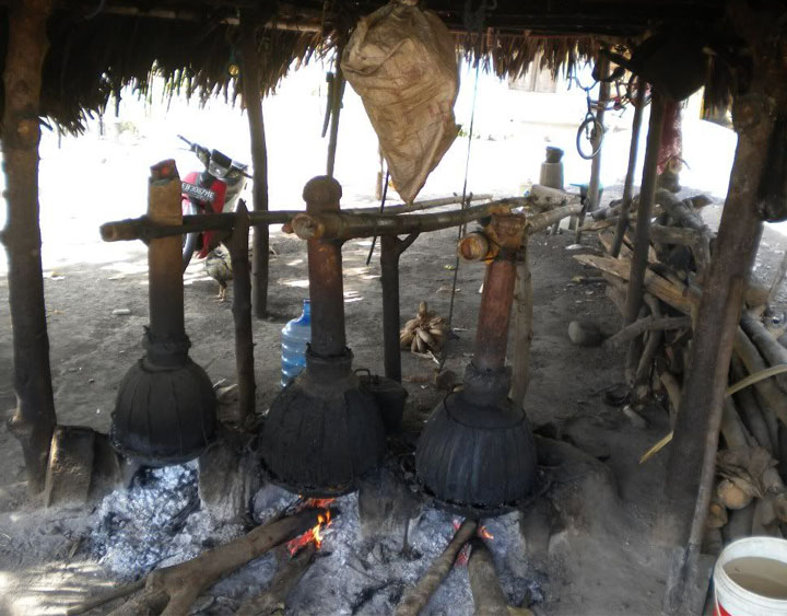 Making Tuak