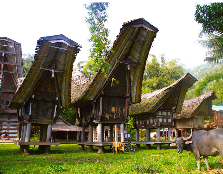 A Traditional Toraja House