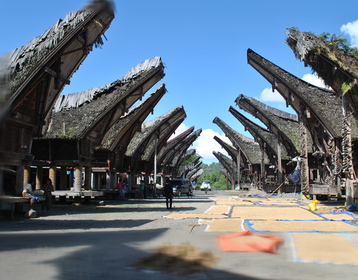 TanaToraja
