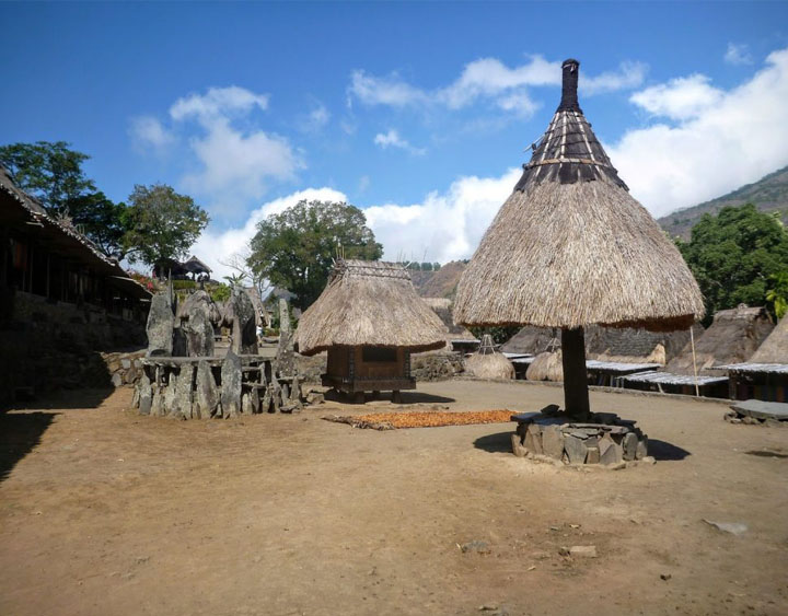 Ngadhu and Bagha