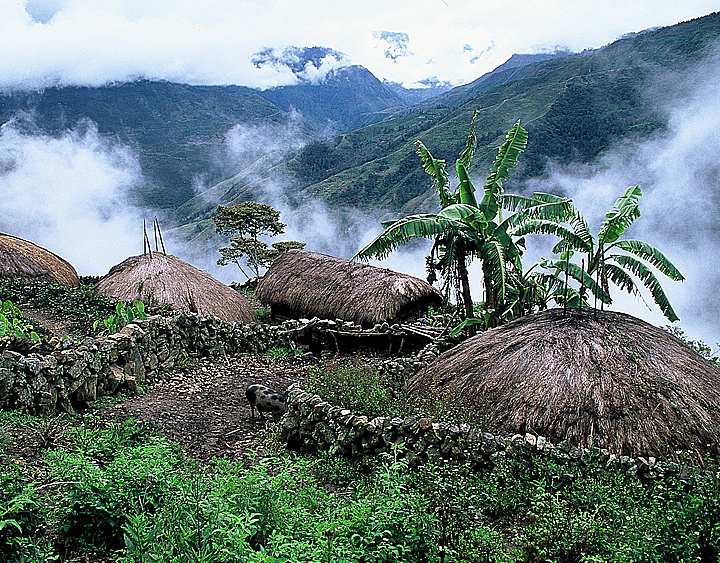 sogokmoPapua