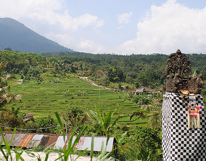 JatiLuwihBali