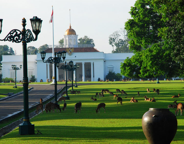 Bogor botanical gardens