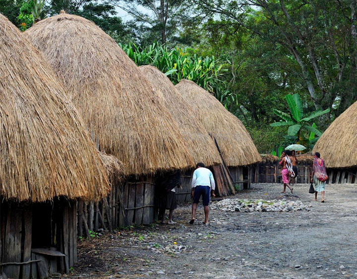 Dani villages
