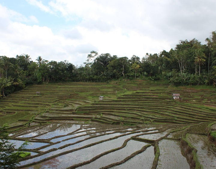Wongaya Gede Village