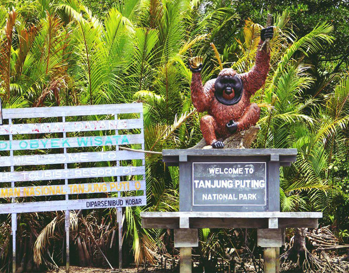 5 Days Orang Utan - Camp Leakey Jungle Adventure