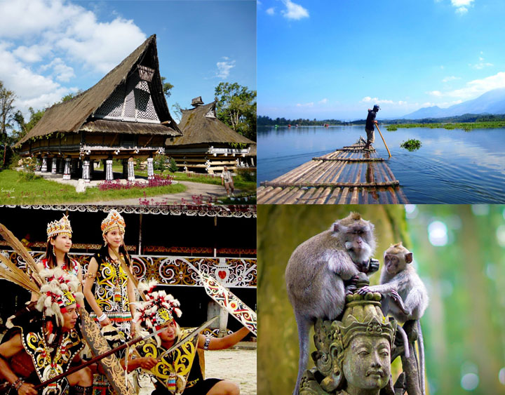 14 Days Indonesia Wildlife, Culture, and Highland Discovery