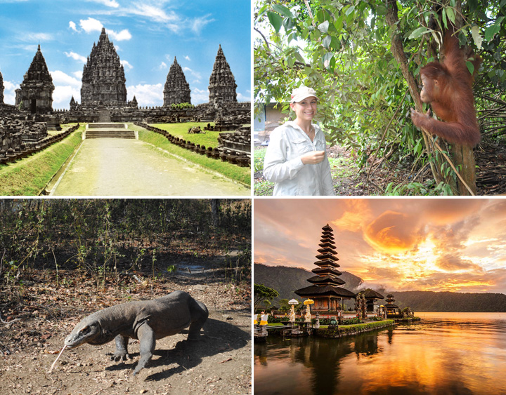 JAKARTA, CAMP LEAKEY, JAVA, KOMODO AND BALI